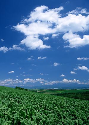 静岡市で信頼できる葬儀を提供する富士葬祭 清水有東坂の特徴とメリット