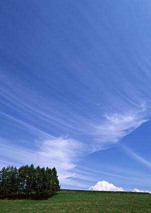 信頼できる葬儀業者を選ぶのが一番です