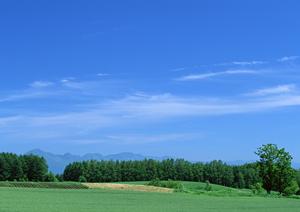 静岡県浜松市に新規オープン！家族葬専門の斎場「家族葬のタクセル葵西」の詳細解説とメリット
