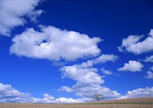 富士市瓜島における家族葬・小規模葬儀の最適会場【富士葬祭 富士瓜島】の特徴とサービス詳細