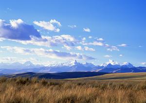静岡県藤枝市の安心・信頼の葬儀サービス｜富士葬祭 藤枝の特徴と店舗情報