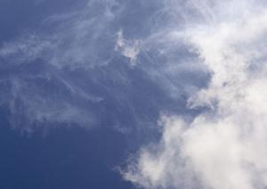 【2025年最新】鹿児島で選ばれるペット葬儀のポイントと信頼できるサービスガイド