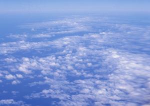 静岡市清水区の家族葬・家族葬ホールを展開する富士葬祭双樹の特徴と魅力